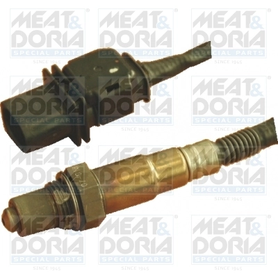 Oxygen Sensor
